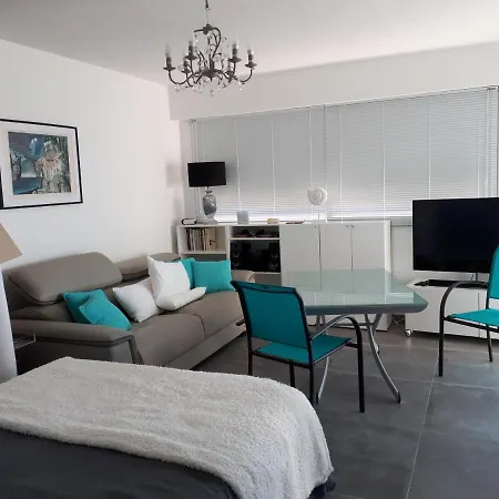 Apartamento Joli Studio Centre Ville Refait A Neuf Apercu Mer